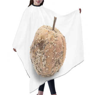 Personality  Rotten Apple With Fungus Hair Cutting Cape