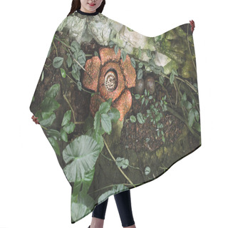 Personality  Rafflesia  Flower With Rotting Smell Hair Cutting Cape