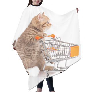 Personality  British Cat With Shopping Cart Isolated On White. Kitten Osolate Hair Cutting Cape