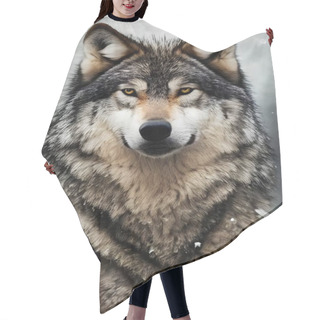 Personality  Close-up Of A Wolf In The Wild In Winter Hair Cutting Cape