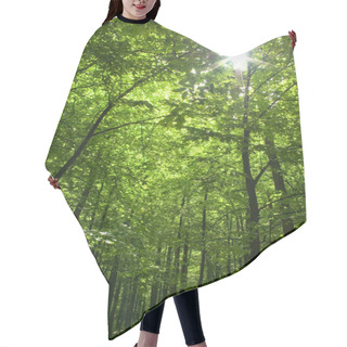 Personality  Sun In Forest Hair Cutting Cape