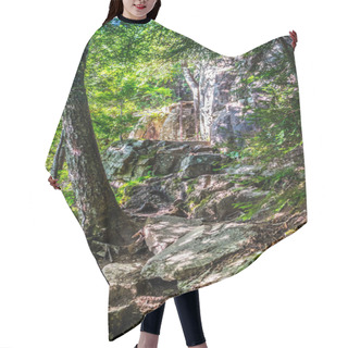 Personality  The Beech Cliff Trail In Acadia National Park, Maine Hair Cutting Cape