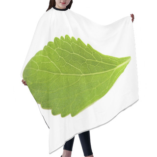 Personality  Stevia Leaf  Hair Cutting Cape