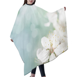 Personality  White Cherry Tree Flower In Spring Hair Cutting Cape