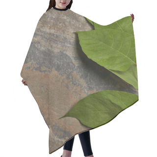 Personality  Green Fresh Leaves On Stone Background With Copy Space Hair Cutting Cape