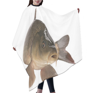 Personality  Carp Hair Cutting Cape