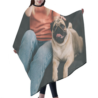 Personality  Cropped View Of Girl Sitting With Adorable Pug Dog On Sofa Hair Cutting Cape