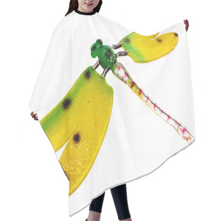 Personality  Dragonfly Hair Cutting Cape