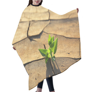 Personality  Plant Growing Through Dry Cracked Soil Hair Cutting Cape