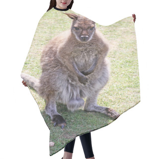Personality  Wallaby Hair Cutting Cape