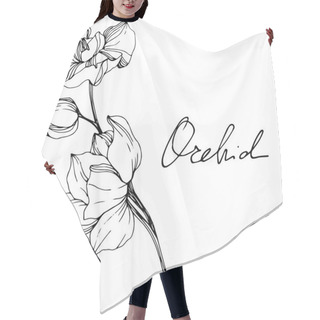 Personality  Beautiful Black And White Orchid Flowers Engraved Ink Art. Isolated Orchids Illustration Element On White Background. Hair Cutting Cape