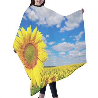 Personality  Yellow Sunflowers Growing In A Field Under A Blue Sky Hair Cutting Cape