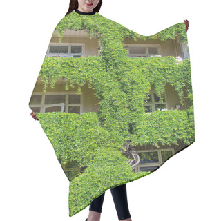 Personality  Windows Covered With Ivy Hair Cutting Cape