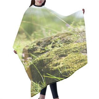 Personality  Green Moss Hair Cutting Cape