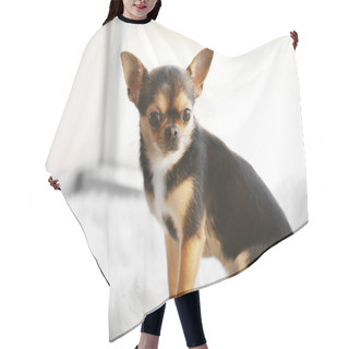Personality  Cute Funny Dog  Hair Cutting Cape