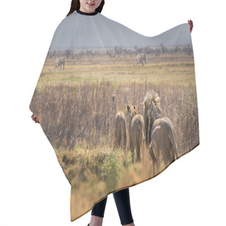 Personality  Lions Group In Wild Nature Hair Cutting Cape