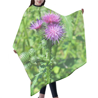 Personality  Thistle (Carduus Acanthoides) Grows In The Wild In Summer Hair Cutting Cape
