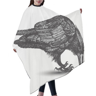 Personality  Black Raven Bird, Hand-drawing. Vector Illustration. Hair Cutting Cape