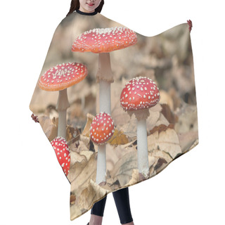 Personality  Five Red Mushrooms Fungi Hair Cutting Cape