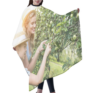 Personality  Attractive Mother And Adorable Daughter Picking Apples In Garden With Sunlight Hair Cutting Cape