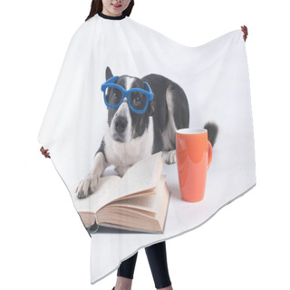 Personality  Mixed Breed Dog Reading A Book Hair Cutting Cape