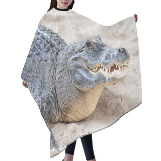 Personality  Alligator Closeup On Sand Hair Cutting Cape