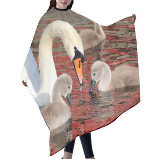 Personality  Mother Swan And Her Young Hair Cutting Cape