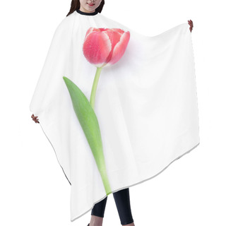Personality  Red Tulip Flower Isolated On White Background Hair Cutting Cape