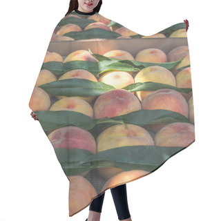 Personality  Fruit Hair Cutting Cape