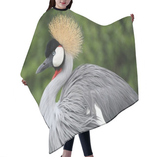 Personality  Crowned Crane Bird Hair Cutting Cape