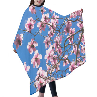 Personality  Magnolia Trees In Blossom Hair Cutting Cape