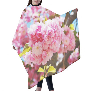 Personality  Japanese Cherry Hair Cutting Cape