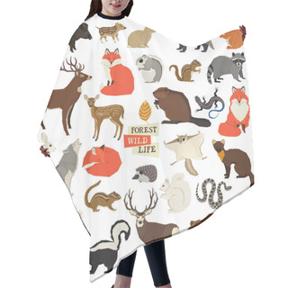 Personality  Vector Illustrations Of The Wild Animals Forest Wildlife Isolated Objects Geometric Style Hair Cutting Cape
