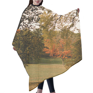 Personality  Fallen Leaves And Trees On Meadow In Central Park In New York City Hair Cutting Cape