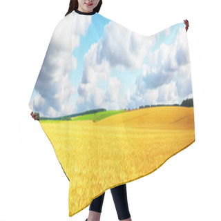 Personality   Hair Cutting Cape