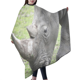 Personality  Close Up Photo Of A Rhino Hair Cutting Cape