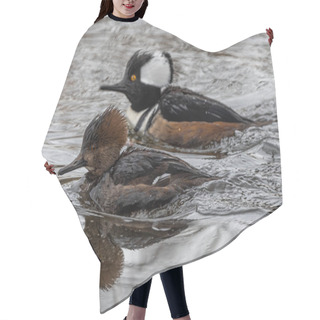 Personality  Female And Male Hooded Merganser (Lophodytes Cucullatus) Hair Cutting Cape