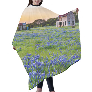 Personality  Abandonded Old House In Texas Wildflowers. Hair Cutting Cape
