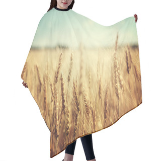 Personality  Golden Wheat Field And Sunny Day Hair Cutting Cape