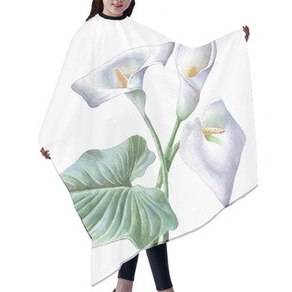 Personality  Illustration With Calla. Hair Cutting Cape