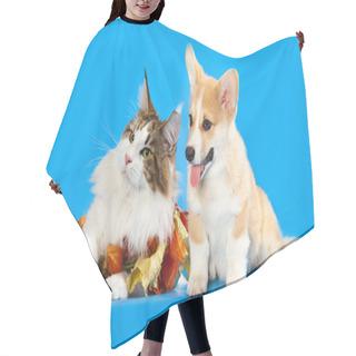 Personality  Cat And Dog Hair Cutting Cape