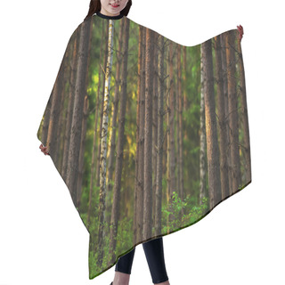 Personality  Sunset In The Woods Hair Cutting Cape