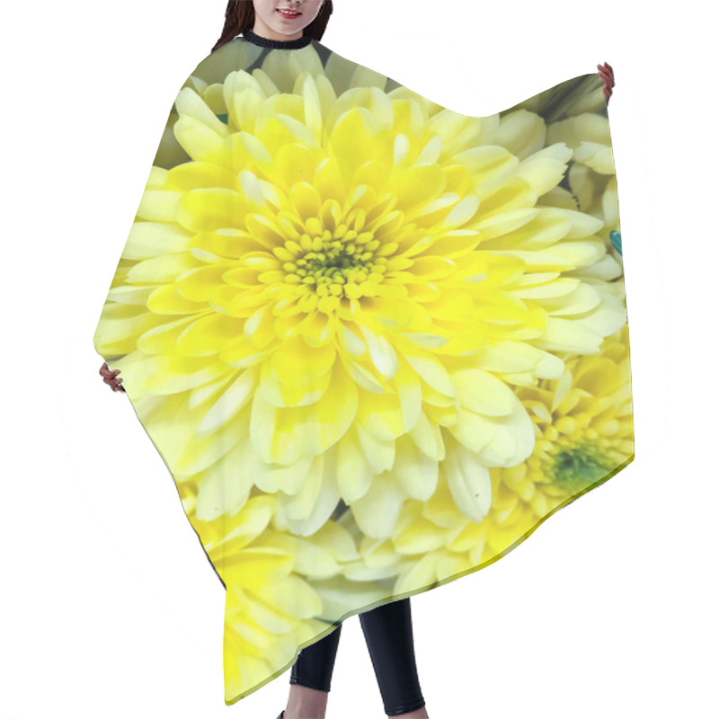 Personality  Yellow Floral Background Of Chrysanthemum Hair Cutting Cape