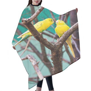 Personality  Two Yellow Lovebird In Forest On Tree Hair Cutting Cape