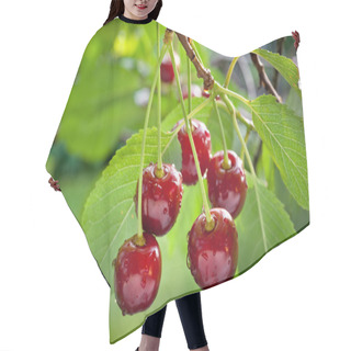 Personality  Sour Cherries Hair Cutting Cape