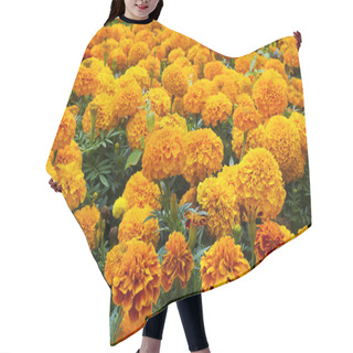 Personality  Flowerbed Of Orange Marigolds Hair Cutting Cape