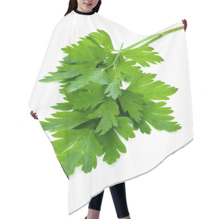 Personality  Parsley Hair Cutting Cape