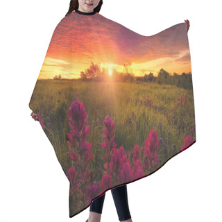 Personality  Rural Texas Indian Paintbrushes  At Sunrise Hair Cutting Cape