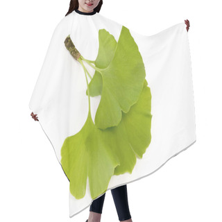 Personality  Ginkgo Tree Leaves Foliage Hair Cutting Cape