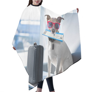 Personality  Dog In Airport Terminal On Vacation Hair Cutting Cape
